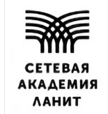 Корпоратив Сетевая академия Ланит: Городской квест Новый год в городе!